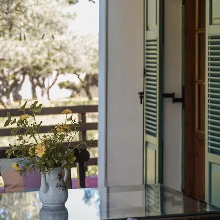 Lithies Organic Farm