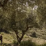 Tatil Evi Lithies Organic Farm