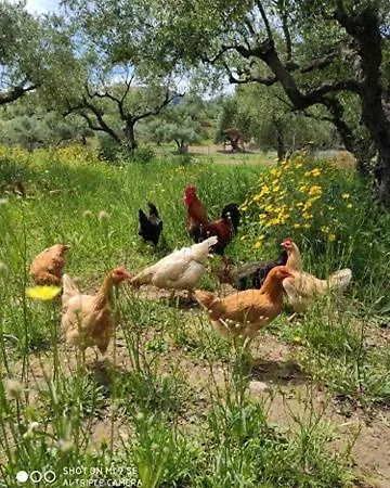Lithies Organic Farm Casa de Férias Vasilikí