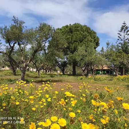 Lithies Organic Farm * Vasilikos (Zakynthos)