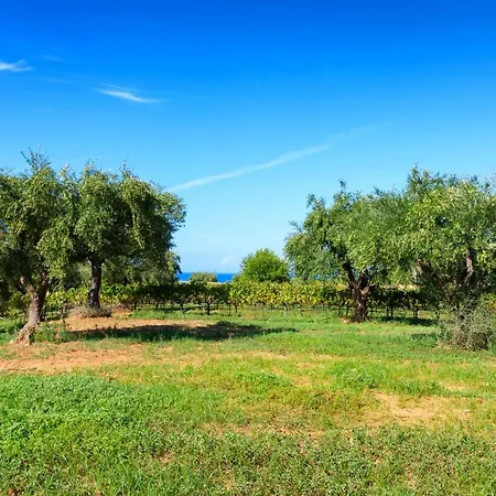 Lithies Organic Farm Holiday home Vasilikos (Zakynthos)
