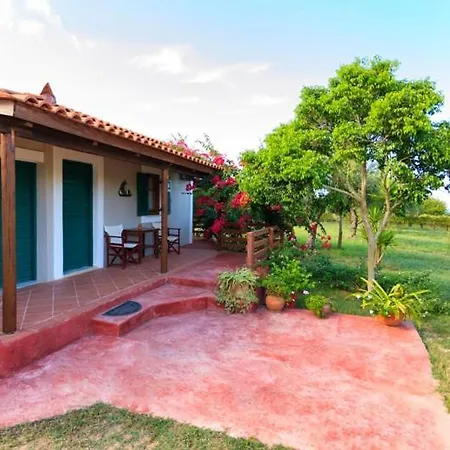 Lithies Organic Farm Vasilikos (Zakynthos)