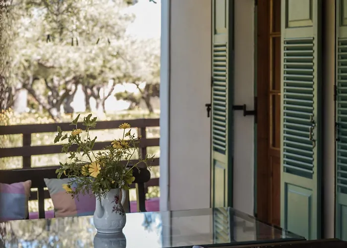 Lithies Organic Farm