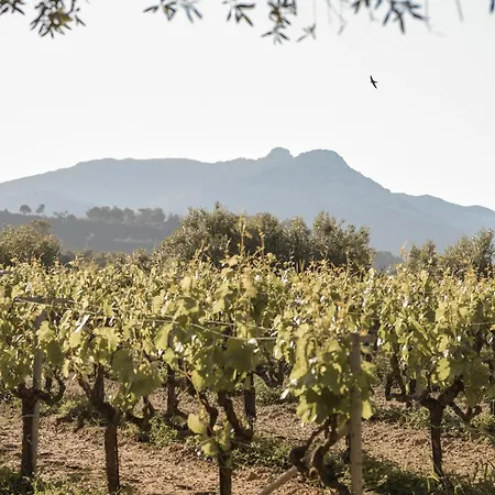 Lithies Organic Farm Vasilikí
